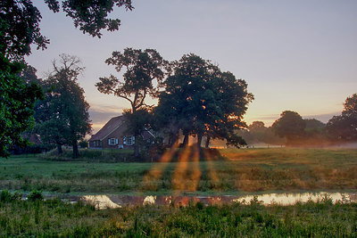 BUITEN BEELD Foto: 304616