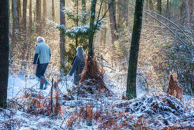 BUITEN BEELD Foto: 304679