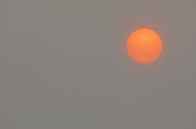 BUITEN BEELD Foto: 304732