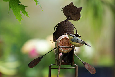 BUITEN BEELD Foto: 304746