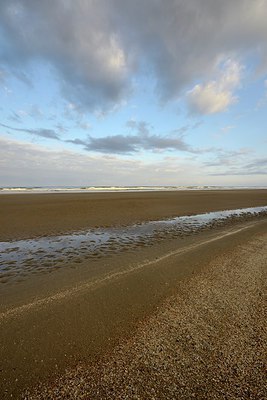 BUITEN BEELD Foto: 304760