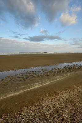 BUITEN BEELD Foto: 304762