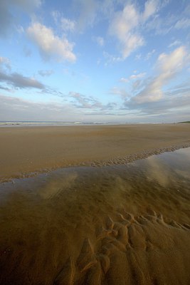 BUITEN BEELD Foto: 304763
