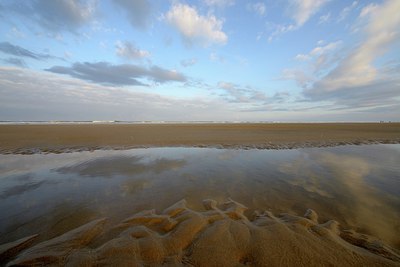 BUITEN BEELD Foto: 304764