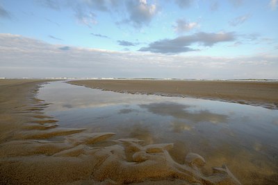 BUITEN BEELD Foto: 304765