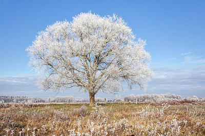 BUITEN BEELD Foto: 304768