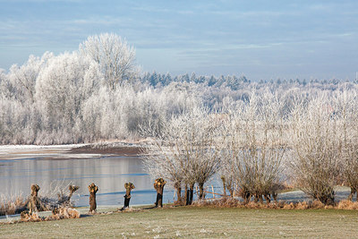 BUITEN BEELD Foto: 304770