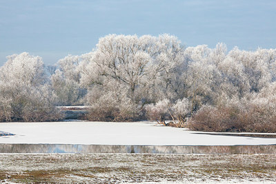 BUITEN BEELD Foto: 304771