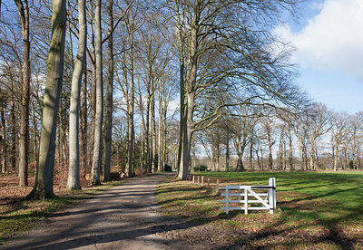 BUITEN BEELD Foto: 304804