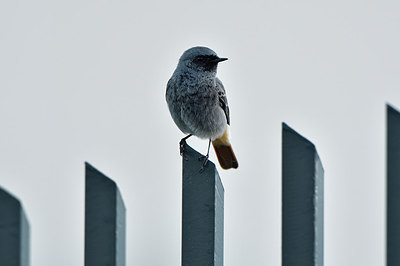 BUITEN BEELD Foto: 304840