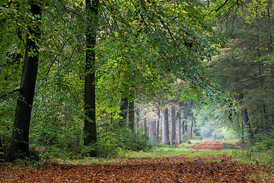 BUITEN BEELD Foto: 304921
