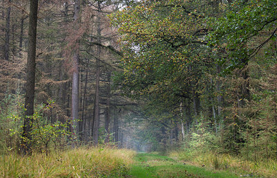 BUITEN BEELD Foto: 304922