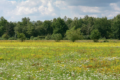 BUITEN BEELD Foto: 304929