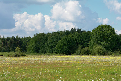 BUITEN BEELD Foto: 304971