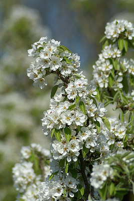 BUITEN BEELD Foto: 304986