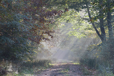 BUITEN BEELD Foto: 305032