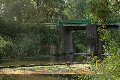 BUITEN BEELD Foto: 305097