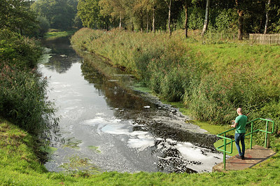 BUITEN BEELD Foto: 305099