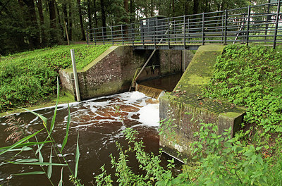 BUITEN BEELD Foto: 305113