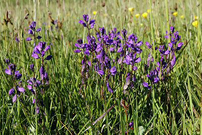 BUITEN BEELD Foto: 305187
