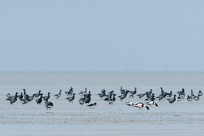 BUITEN BEELD Foto: 305198