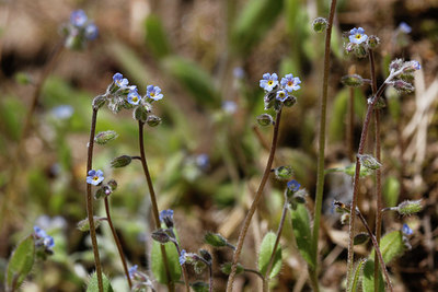 BUITEN BEELD Foto: 305203