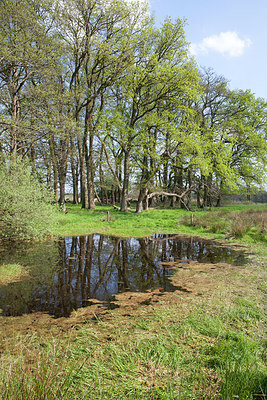 BUITEN BEELD Foto: 305268
