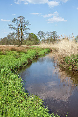 BUITEN BEELD Foto: 305270