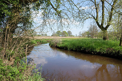 BUITEN BEELD Foto: 305271