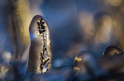 BUITEN BEELD Foto: 305318