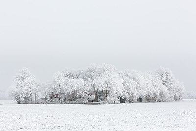 BUITEN BEELD Foto: 305354