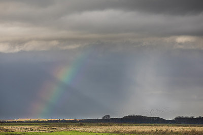 BUITEN BEELD Foto: 305400