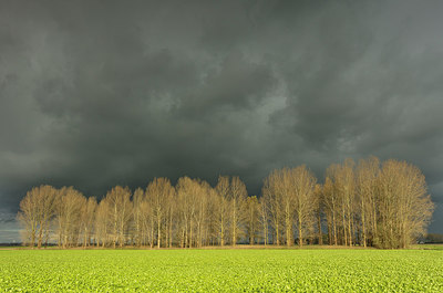 BUITEN BEELD Foto: 305401