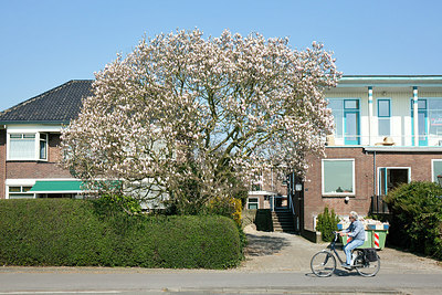 BUITEN BEELD Foto: 305456