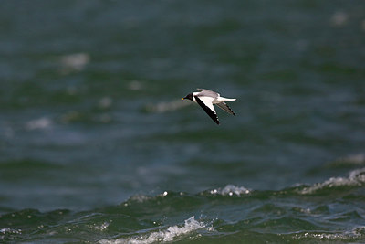 BUITEN BEELD Foto: 305474