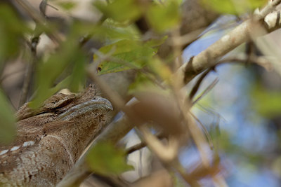 BUITEN BEELD Foto: 305504