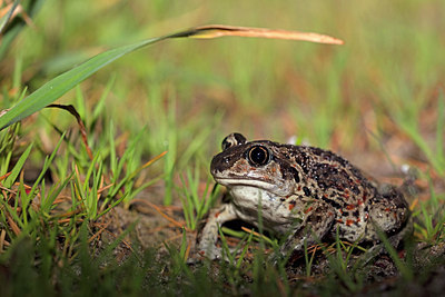 BUITEN BEELD Foto: 305666