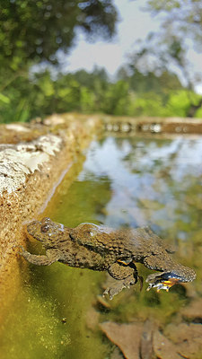 BUITEN BEELD Foto: 305692