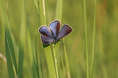 BUITEN BEELD Foto: 305736