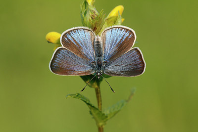 BUITEN BEELD Foto: 305737