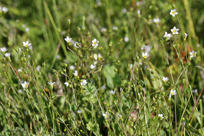 BUITEN BEELD Foto: 305742