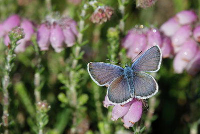 BUITEN BEELD Foto: 305791