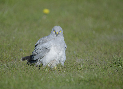 BUITEN BEELD Foto: 305807