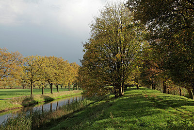 BUITEN BEELD Foto: 305845