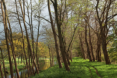 BUITEN BEELD Foto: 305846