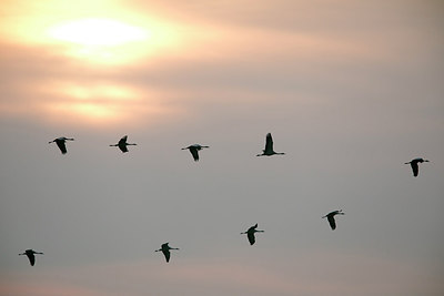 BUITEN BEELD Foto: 305888