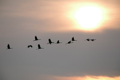 BUITEN BEELD Foto: 305890