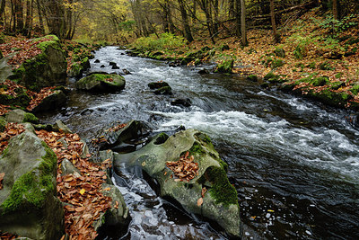 BUITEN BEELD Foto: 305910