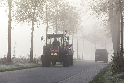 BUITEN BEELD Foto: 306039