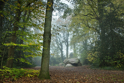 BUITEN BEELD Foto: 306054